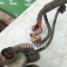 Проводка (коса) Mitsubishi Galant 8  EA 97-03