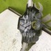 Стеклоподъемник мех задний правый Renault Scenic 96-99