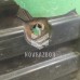 Защита антигравийная Mazda Mazda 3  BK  02-09