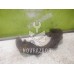 Скоба суппорта переднего Daewoo Espero 91-99