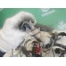 Проводка (коса) Chery QQ6 S21 07-10