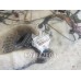 Проводка (коса) Chery QQ6 S21 07-10