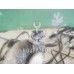 Проводка (коса) Chery QQ6 S21 07-10