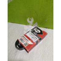 Ремень приводной ручейковый Ford C-MAX 2003-2010