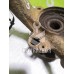Кулак поворотный передний левый VW Golf 3 Vento 91-97