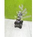 Цапфа Renault Clio 2 Symbol 1998-2008