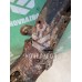 Балка подмоторная Mazda Mazda 6 GG 02-07