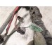 Проводка (коса) Mazda Mazda 6 GG 02-07