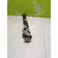 Распредвал выпускной Nissan Teana J31 03-08