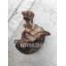 Кулак поворотный передний правый Honda Logo