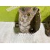 Кронштейн задней балки VW Golf 3 Vento 91-97