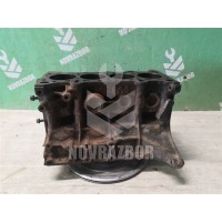 Блок двигателя Kia RIO 1 2000-2004