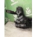 Балка подмоторная Ford Focus 1 1998-2004