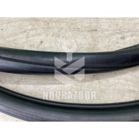 Уплотнитель двери BMW X3 F25 2010-2017