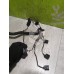 Проводка (коса) BMW X3 F25 2010-2017