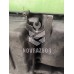 Корпус воздушного фильтра VW Polo Classic 95-02