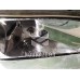 Фара правая Fiat Punto 1(176) 93-99