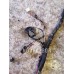 Проводка (коса) BMW X3 F25 2010-2017