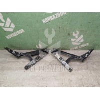 Петля крышки багажника Ford Focus 1 1998-2004