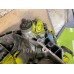МКПП механическая коробка Citroen C-Elysee 2012>