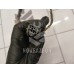 Проводка (коса) Kia Spectra 2001-2011