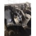 Блок двигателя Chevrolet Lanos 2004+