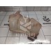 Бачок расширительный Ford Fusion 2002 >