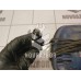 Компрессор насос Chevrolet Lanos 2004+