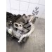 Компрессор кондиционера Kia Spectra 2001-2011