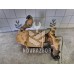Коллектор выпускной Ford Fusion 2002 >