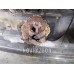 Дверь багажника со стеклом Opel Zafira A 99-05