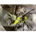 МКПП механическая коробка Kia Spectra 2001-2011