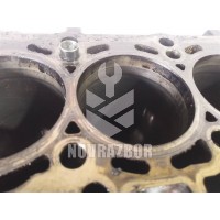 Блок двигателя Skoda Octavia A5 1Z   04-13