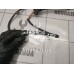 Проводка (коса) Faw Besturn B50 2009-2016