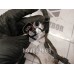 Проводка (коса) Faw Besturn B50 2009-2016
