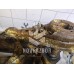 Балка задняя Faw Besturn B50 2009-2016