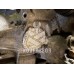 МКПП механическая коробка Volvo 440 1992-1994