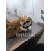 Балка задняя VW Golf 3 Vento 91-97