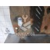 Защита картера Kia Spectra 2001-2011