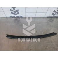 Уплотнитель стекла двери Ford Focus 2 05-08
