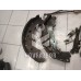 Колодки тормозные задние барабанные к-кт Ford Focus 2 05-08