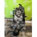 Двигатель Fiat Punto 2 (188) 99-10