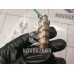 Датчик кислородный/Lambdasonde Renault Logan 2005-2014