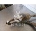 Трубка кондиционера Opel Astra G 1998-2005