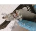 Петля капота левая Ford Focus 2 05-08