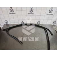 Уплотнитель стекла двери Ford Focus 2 05-08