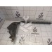 Накладка порога (внутренняя) Ford Focus 2 05-08