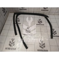 Уплотнитель стекла двери Ford Focus 2 05-08