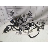 Проводка (коса) Ford Focus 2 05-08