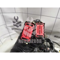 Проводка (коса) Ford Focus 2 05-08